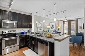 Raleigh apartment for rent - a kitchen with stainless steel appliances and a counter top
