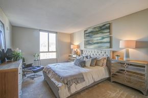 Chevy Chase apartment for rent - Bedroom