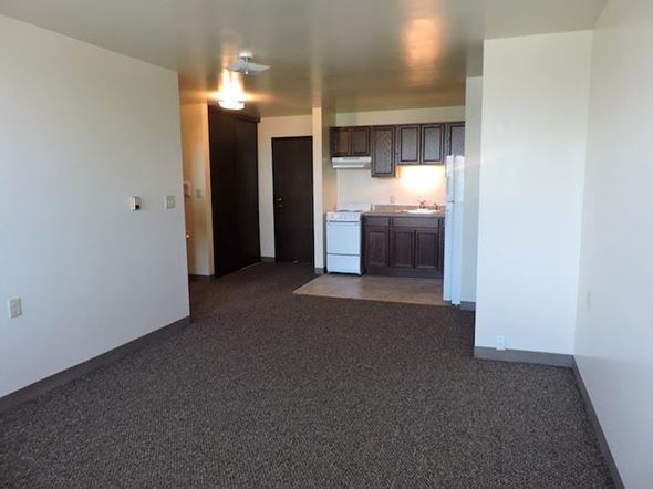 Milwaukee apartment for rent - a kitchen and a living room with a carpet