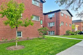 Oak Park apartment for rent - A tree in a grassy area in front of a red brick building.