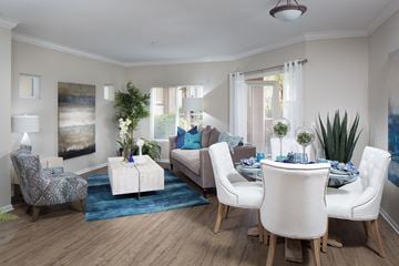 Carlsbad apartment for rent - A living room with a blue rug and white chairs.