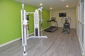 Grand Forks apartment for rent - a home gym with exercise equipment and green walls