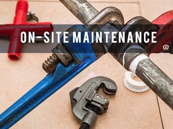 Maintenance