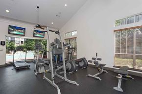 The Woodlands apartment for rent - a gym with weights and cardio equipment in a home for sale