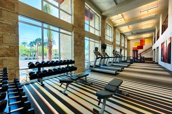 Professional gym