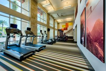 Professional fitness center