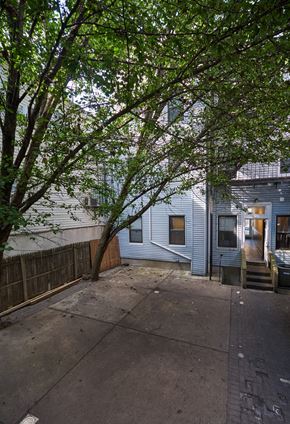 Jersey City apartment for rent - A tree with green leaves is in front of a blue house.