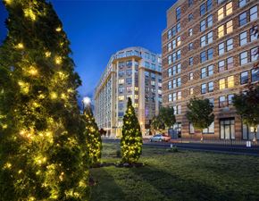 Jersey City apartment for rent - two christmas trees in a park with buildings in the background