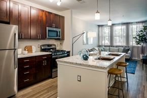 Elkridge townhouse for rent - Culinary kitchens featuring Shaker cabinets, light-colored countertops and stainless steel appliances