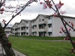 Marysville apartment for rent - an apartment building with a flowering tree in the foreground