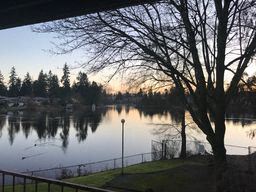 Everett apartment for rent - a body of water with trees and a light pole