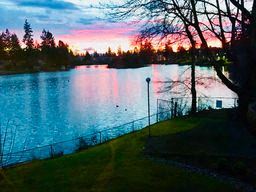 Everett apartment for rent - the sun is setting over the lake and the sky is pink