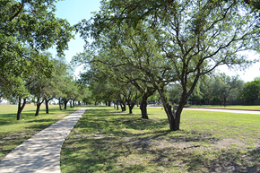 San Antonio apartment for rent - a sidewalk running through a park with trees