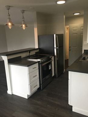 Vallejo apartment for rent - a kitchen with a stove refrigerator and a sink