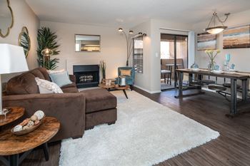 Modern and transitional living room