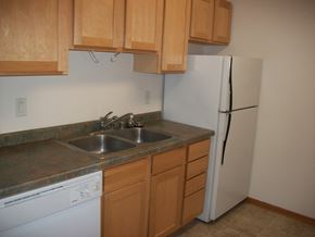 Waunakee apartment for rent - an empty kitchen with a sink and a refrigerator