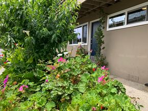 Mountain View apartment for rent - Caltega 240 Ortega Avenue  Mountain View, CA 94040