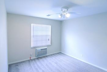 Ceiling fan