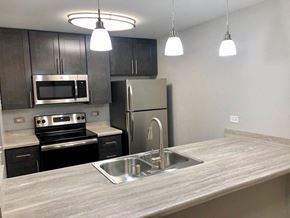Woodridge apartment for rent - 1BD, 1BR Remodel D-Style Kitchen