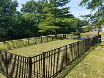 Dog park