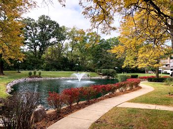 Ponds