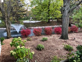 Ponds