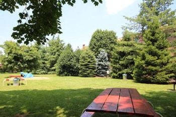 Outdoor grilling and picnic area