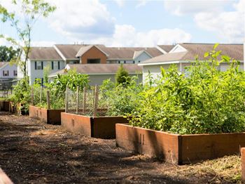 Community gardens