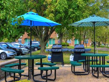 Picnic area with gas grills