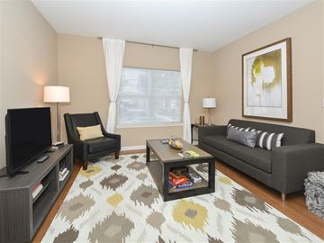 Cleveland apartment for rent - A living room with a grey couch, a black chair, a grey coffee table, a grey rug and a painting on the wall.