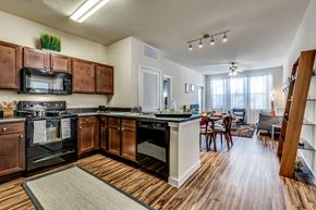 Denton apartment for rent - Dishwasher Available with Garbage Disposal and Stove at The Veranda, Texas