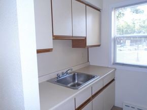 St Paul apartment for rent - an empty kitchen with a sink and white cabinets