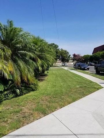 Buena Park apartment for rent - a street with palm trees next to a sidewalk