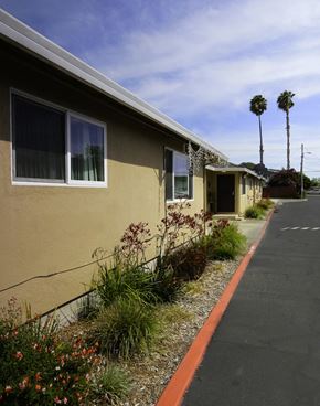 Hayward triplex for rent - Driveway View