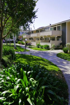 Fremont apartment for rent - Landscaping and balcony view