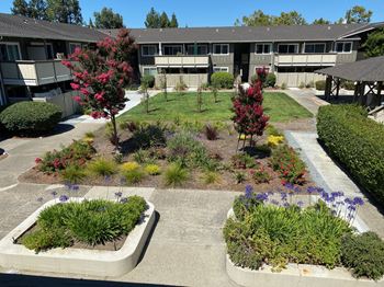 Beautiful landscaping
