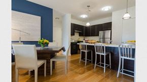 Stamford apartment for rent - Kitchen and Dining