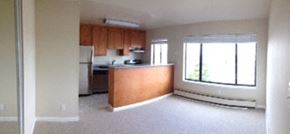 San Francisco apartment for rent - an empty kitchen with a large window