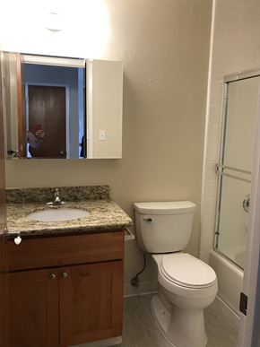 San Francisco apartment for rent - a bathroom with a toilet and a sink and a shower
