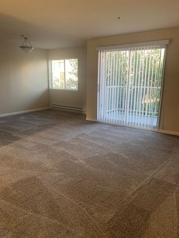 San Francisco apartment for rent - a living room with carpet and a sliding glass door