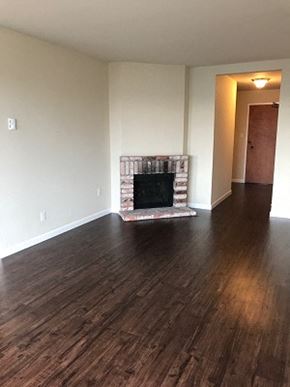 San Francisco apartment for rent - a living room with a fireplace and a wooden floor