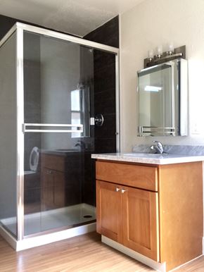 San Francisco apartment for rent - a bathroom with a shower and a sink and a mirror