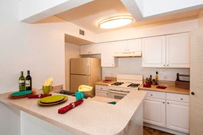 Orlando apartment for rent - Cricket Club kitchen.