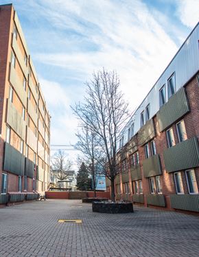 Wallingford apartment for rent - a courtyard between two buildings with a tree in the middle