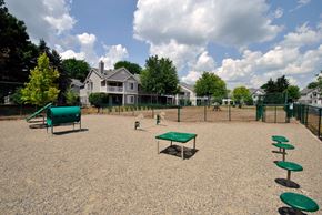 Ann Arbor apartment for rent - fenced-in dog park with agility equipment