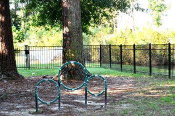 Bark park
