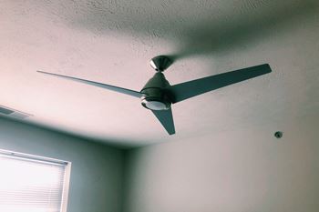 Ceiling fan