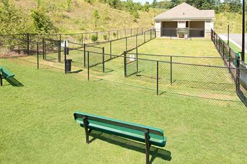 Life's ruff dog park