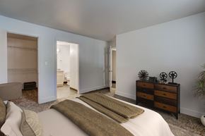 Fort Collins apartment for rent - Village on Shields - Windmill three bedroom master bedroom