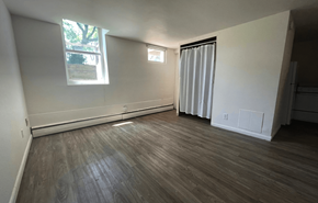 Madison apartment for rent - an empty living room with wood flooring and a window